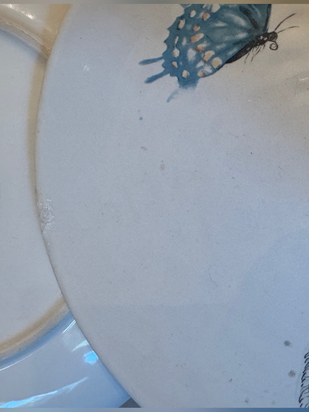 Pier 1 Easter Bunny w Butterflies and Flowers 8 1/2” Earthenware - Picture 4 of 5